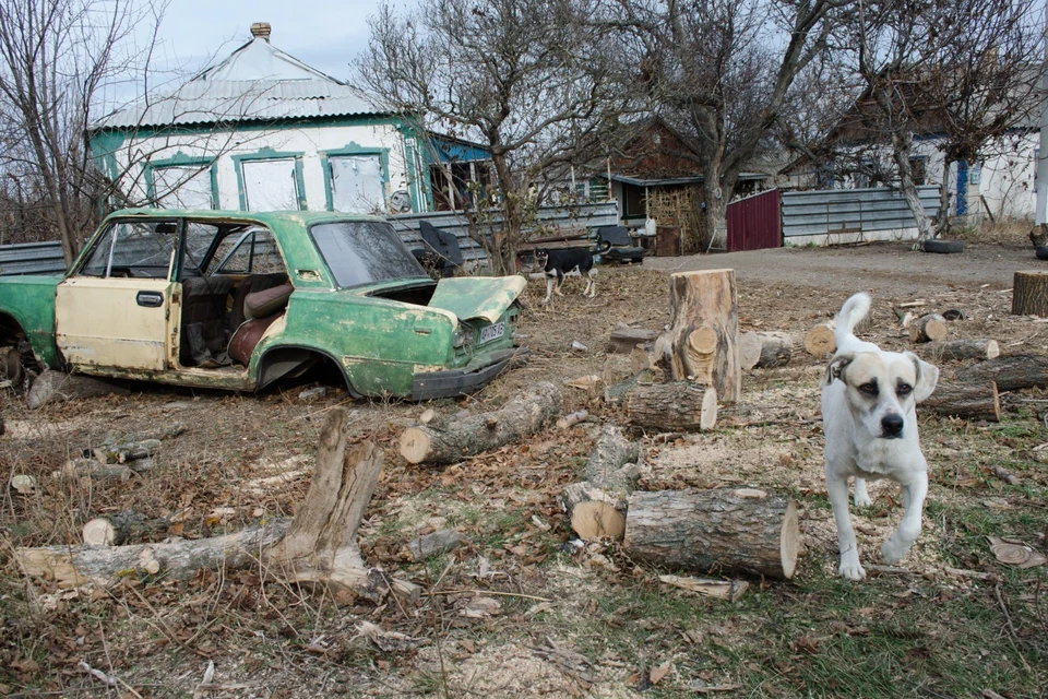 Флинн: Украинский конфликт начался задолго до прихода Байдена к власти