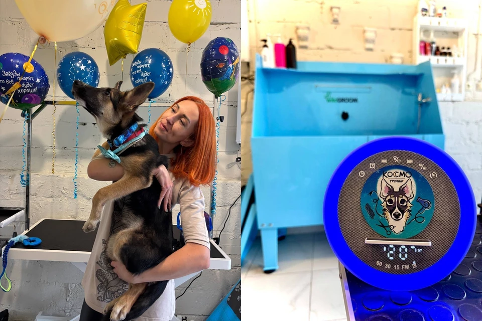 Фото: t.me/woofgavblog