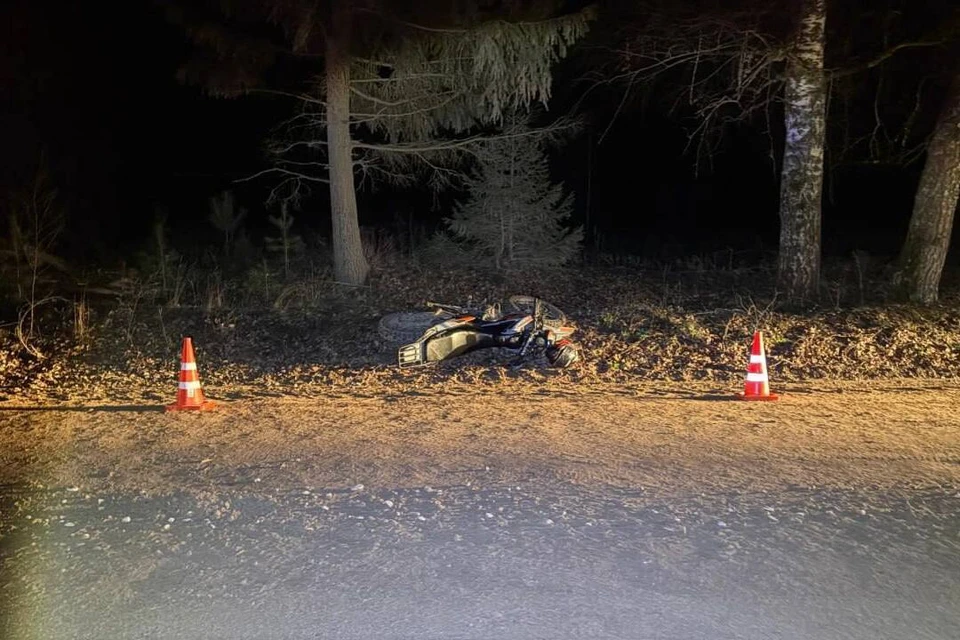 Решается вопрос о возбуждении уголовного дела. Фото: Госавтоинспекция Удмуртии