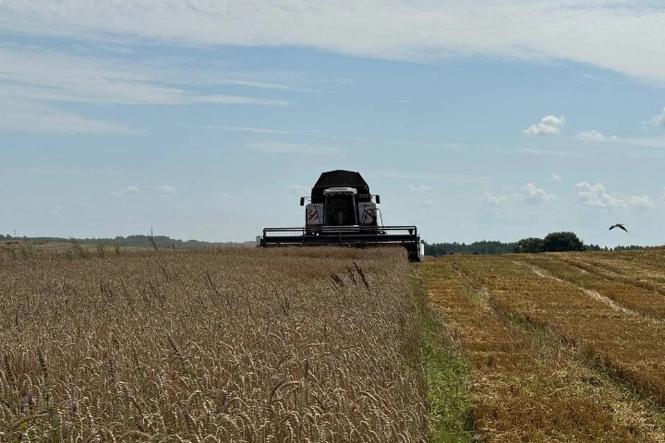 Фото: Василий АНОХИН, ВКонтакте.