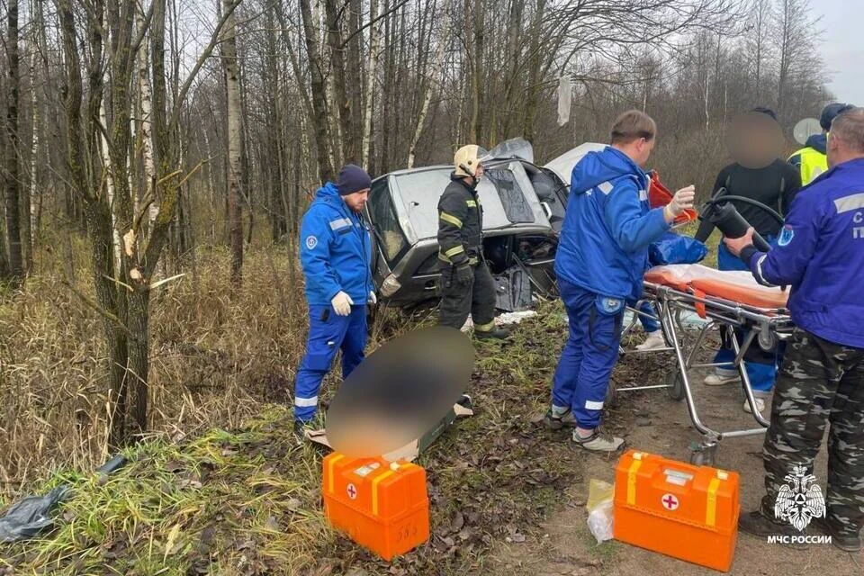 На месте работали спасатели. Фото: МЧС России по Тверской области.