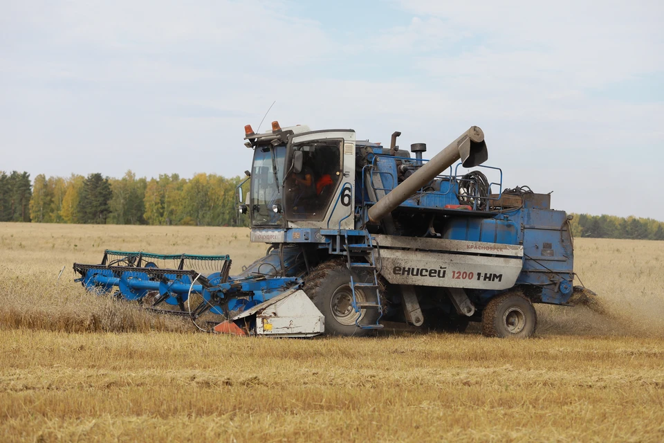 Количество закупающих пшеницу у России стран сократилось до 30