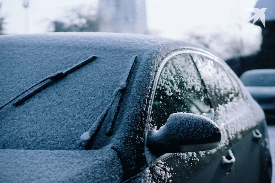 Хорошего дня! Фото: архив