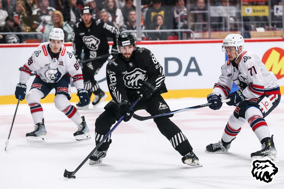 «Трактор» в заключительном матче домашней серии проиграл «Нефтехимику». Фото ХК «Трактор»