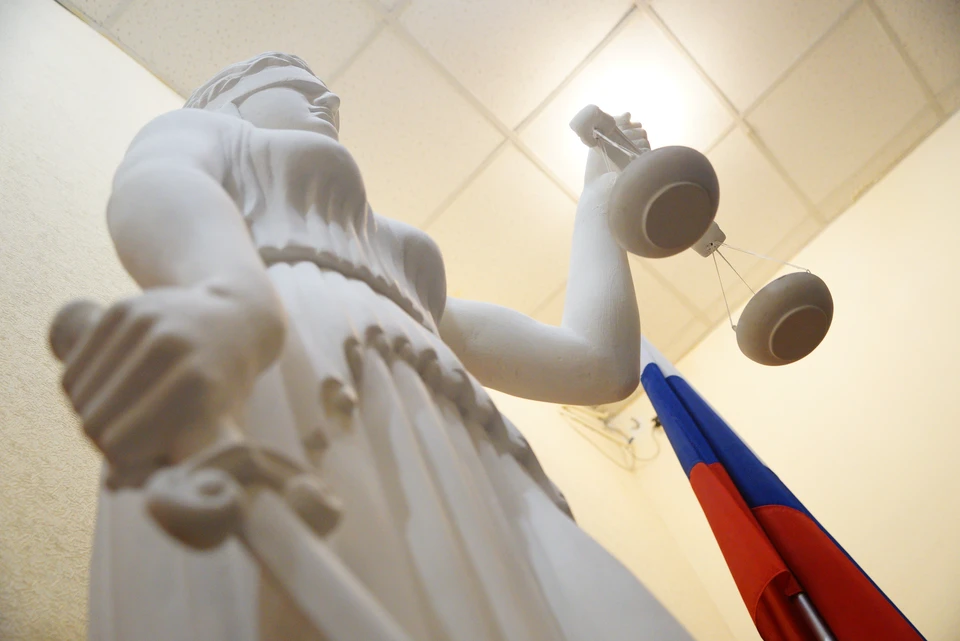 Суд приступит к рассмотрению дела.