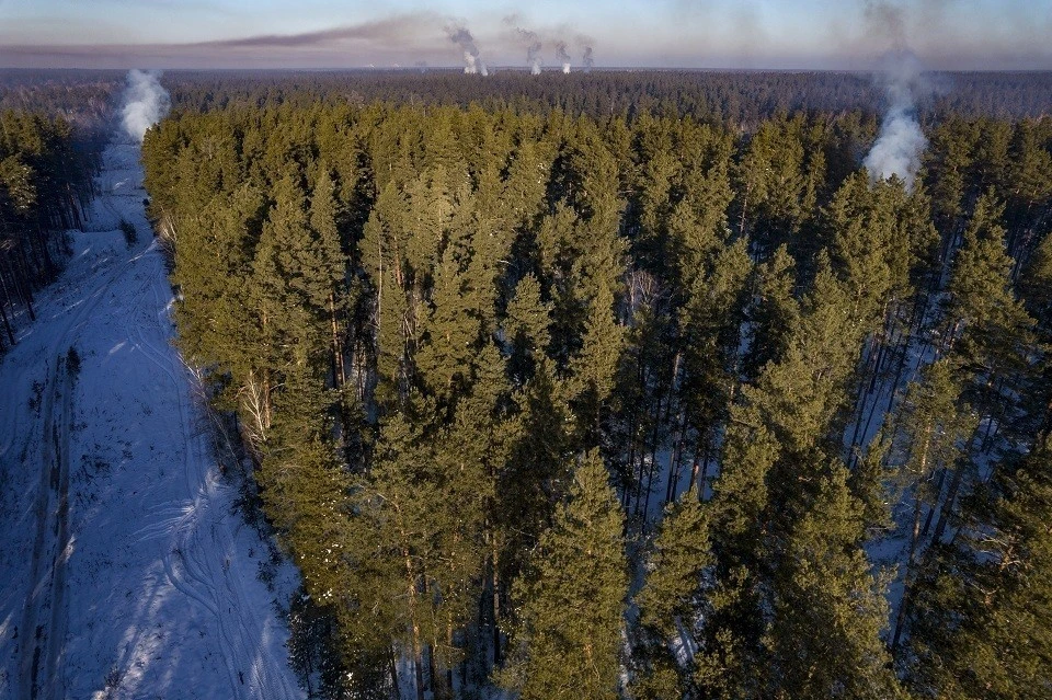 Отшельник Наумкин: Пропавшая семья Усольцевых могла выжить и питаться почками