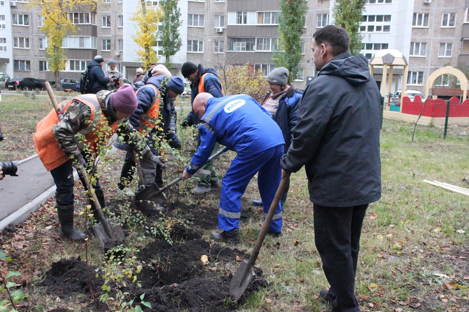 Фото: Владимир КУЛИК.