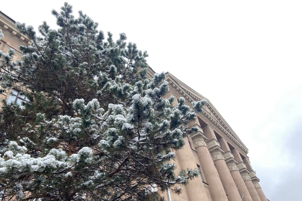 Уходящая рабочая неделя погрузила Хабаровск (да и часть края) в снежную сказку