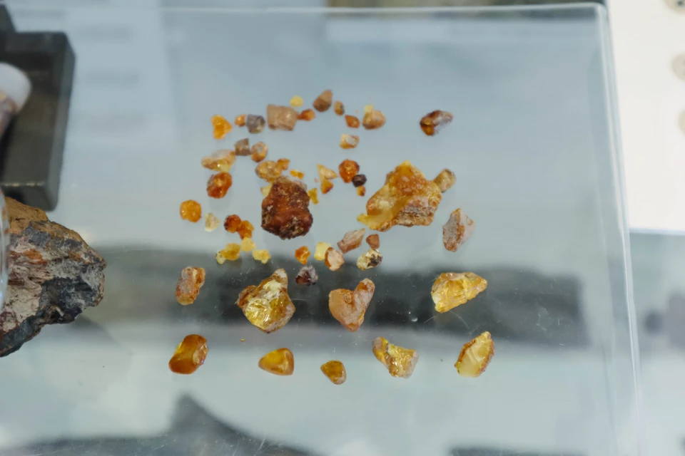 Фото: пресс-служба АПК.