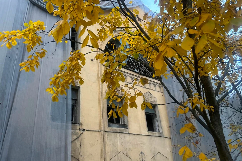 Историческое здание выставили на торги. Фото: www.gov.spb.ru