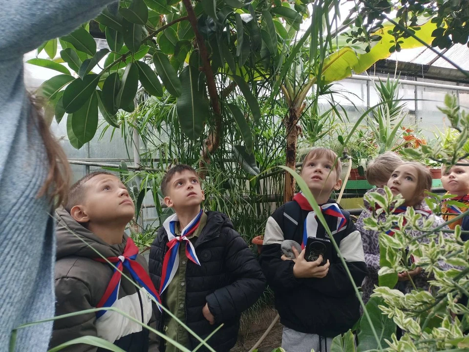 В Кисловодске с начала года прошло более 200 мероприятий в рамках городской экологической программы. Фото: администрация Кисловодска