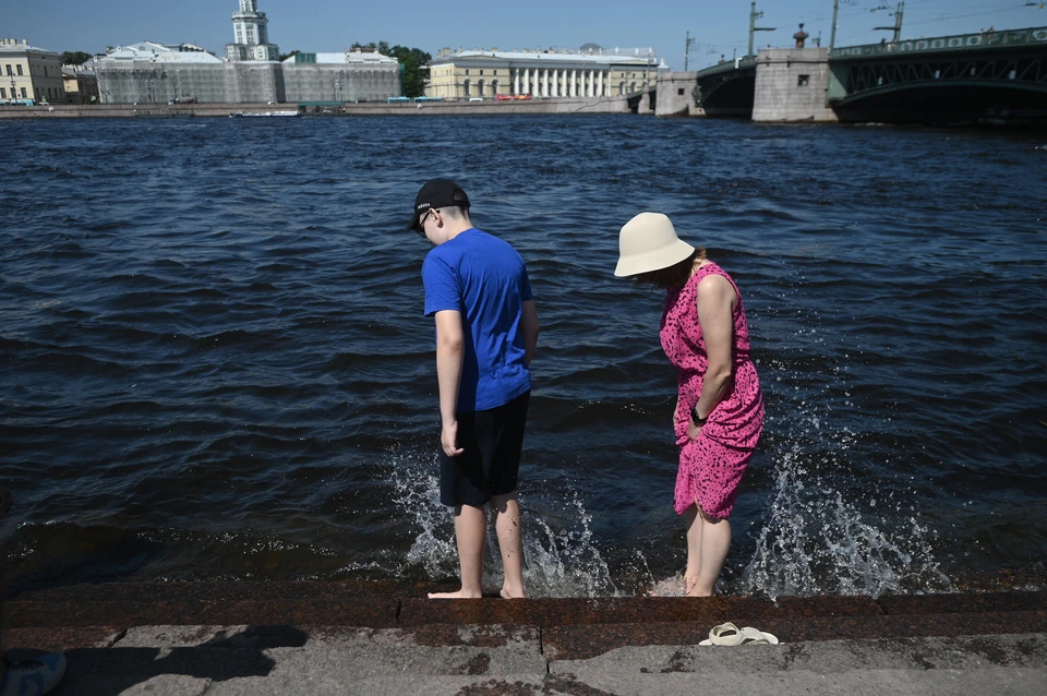 Спросили у экологов, попадет ли в Неву канализация, отравившая уже Муринский ручей и Охту.