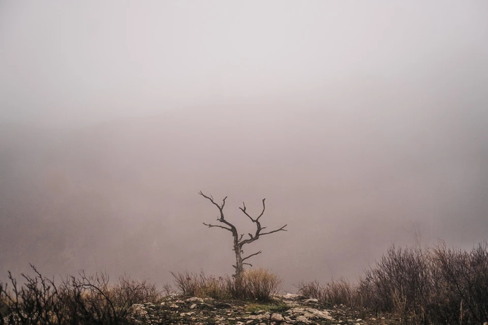 В Запорожье прогнозируют туман.