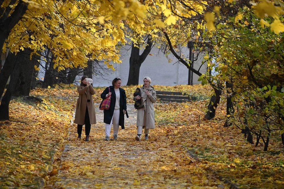 Москвичам пообещали аномально теплую погоду на следующей неделе