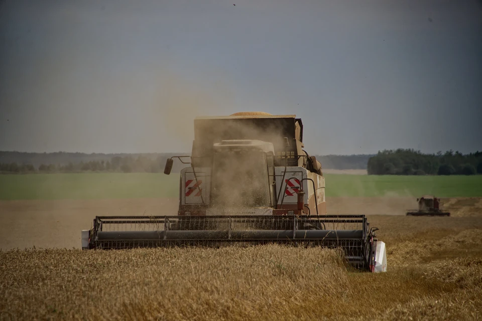 Россельхознадзор выявил более миллиона тонн зерна с недостоверными декларациями в Ростовской области.