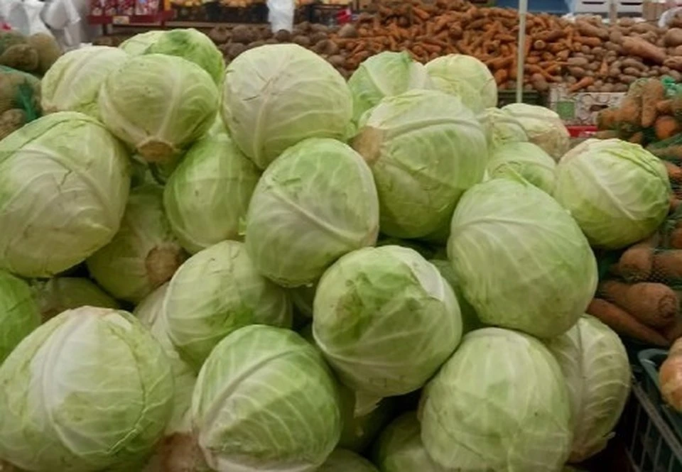 Белокачанная капуста подорожала. Фото: sev.gov.ru