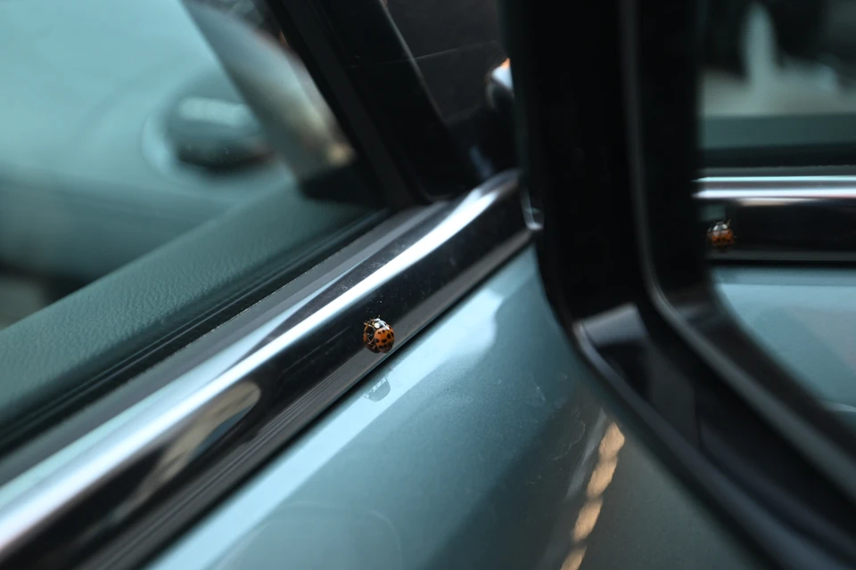 Школьник проявил героизм, спасая женщину на оживлённой улице.