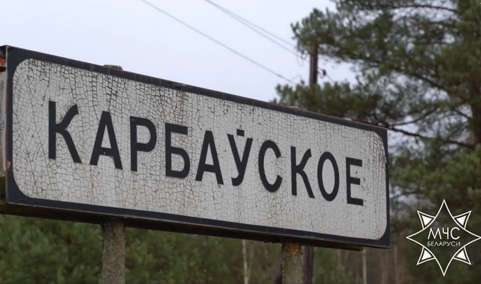 В Березинском районе продолжаются поиски пропавшего мальчика. Фото: стоп-кадр | видео МЧС.