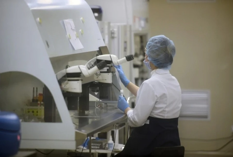 Новосибирские химики выявили способ победить диабет и метаболический синдром