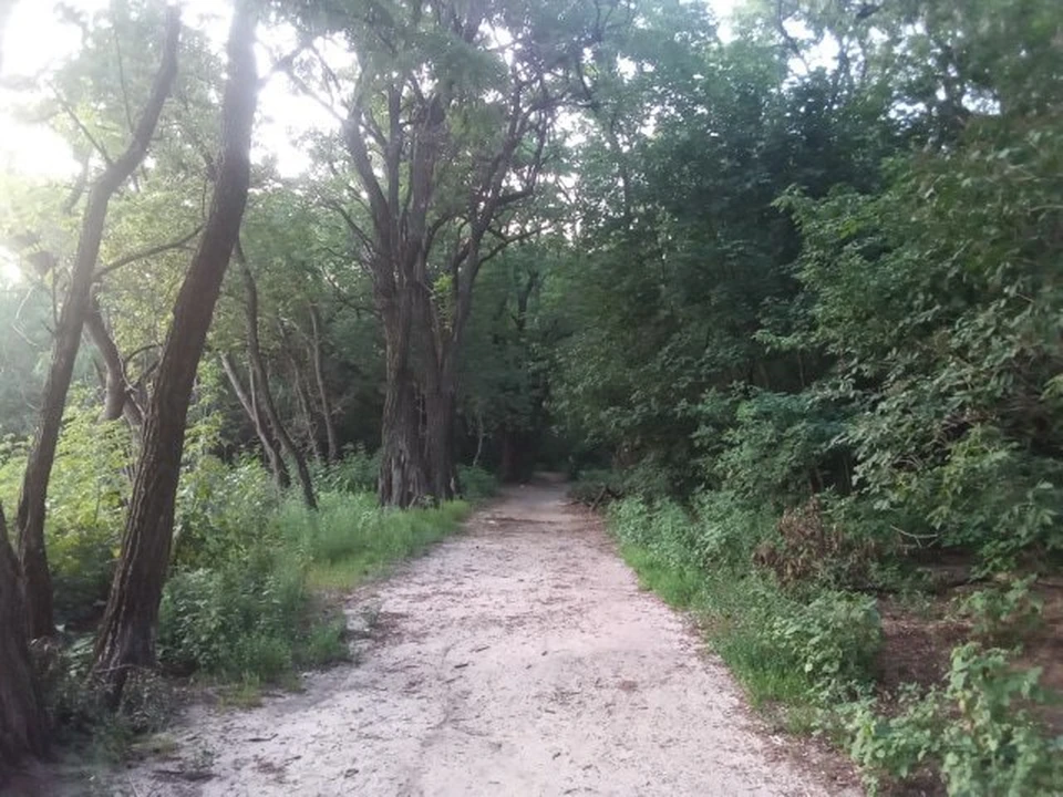 В регионе пока держится теплая погода