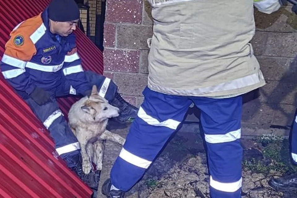 Фото: Госкомитет Башкирии по ЧС