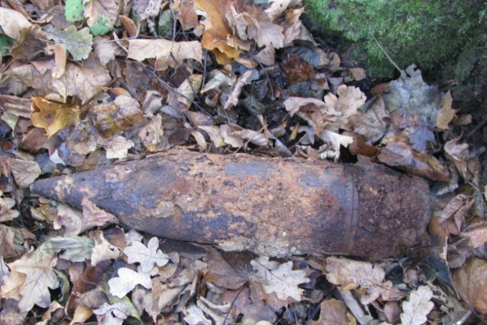 Фото: пресс-служба ГУ МЧС России по Брянской области.