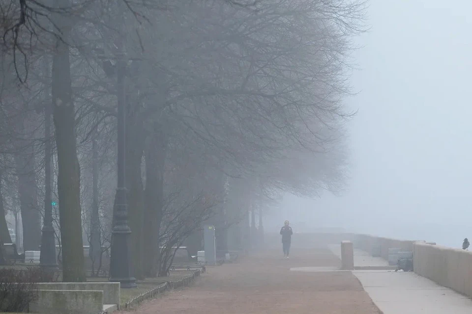 В Москве объявили желтый уровень погодной опасности из-за тумана