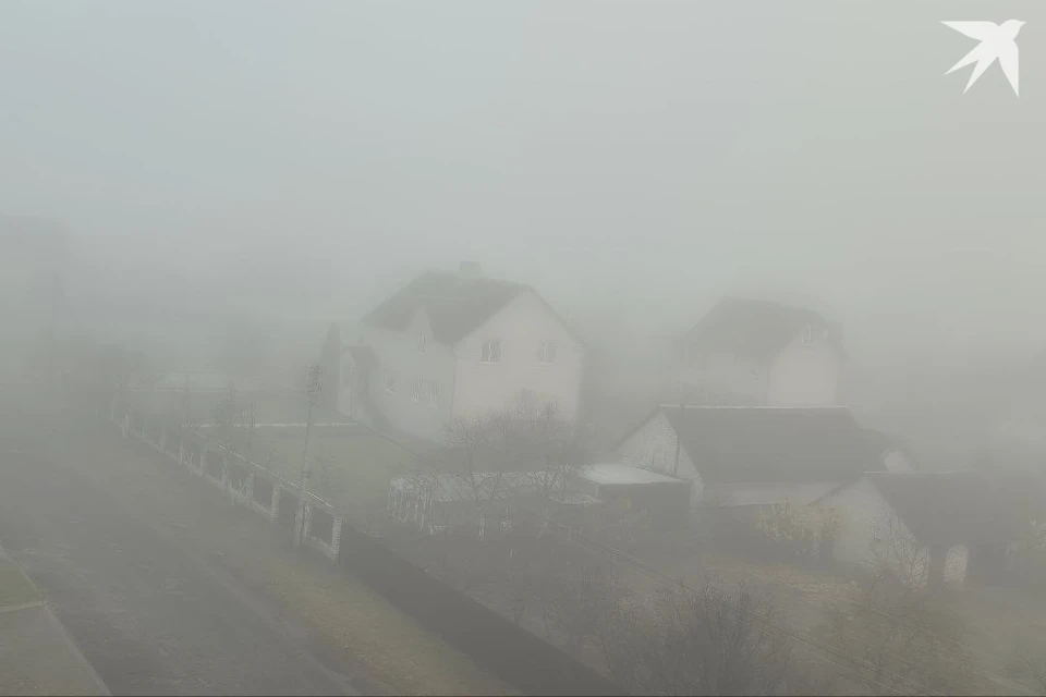 Оранжевый уровень опасности из-за тумана объявлен в Беларуси на 12 ноября. Фото: архив «КП».