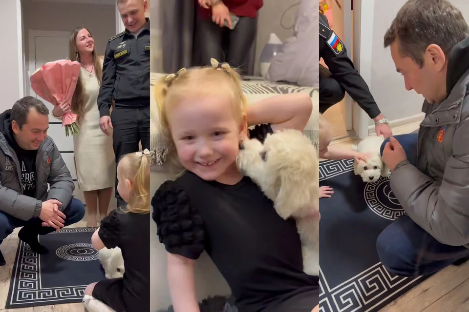 Щенка назвали Моника - имя, как говорят новые хозяева, ей очень подходит. Фото: Кадры из видео / Правительство Мурманской области