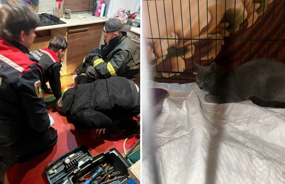 Фото; vk.ru/chp44