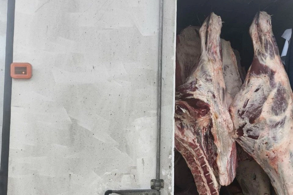 Фото: пресс-служба Азово-Черноморского межрегионального управления Россельхознадзора