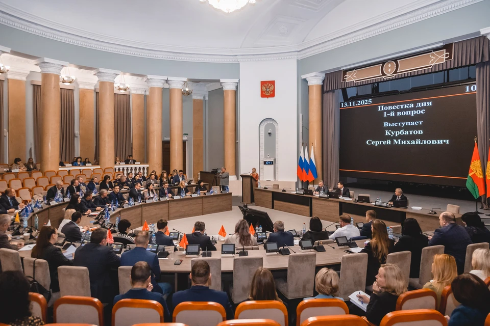 Фото пресс-службы Совета депутатов Липецкой области.