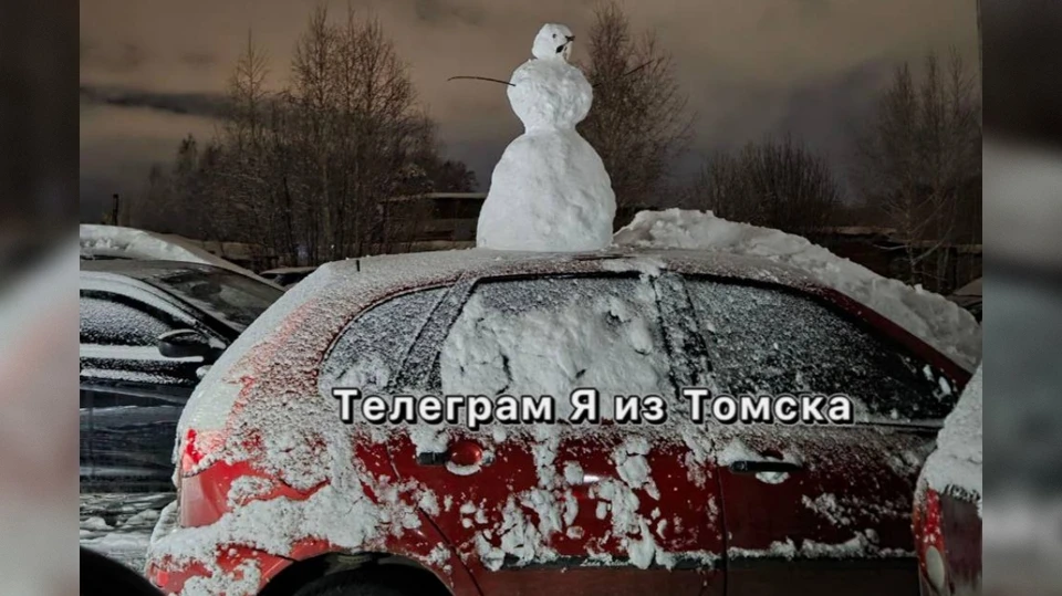 Фото: телеграм-канал «Я из Томска»