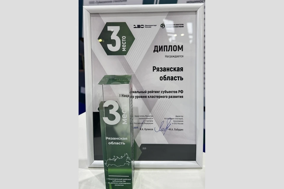 Рязанская область вошла в тройку рейтинга РФ по уровню кластерного развития.