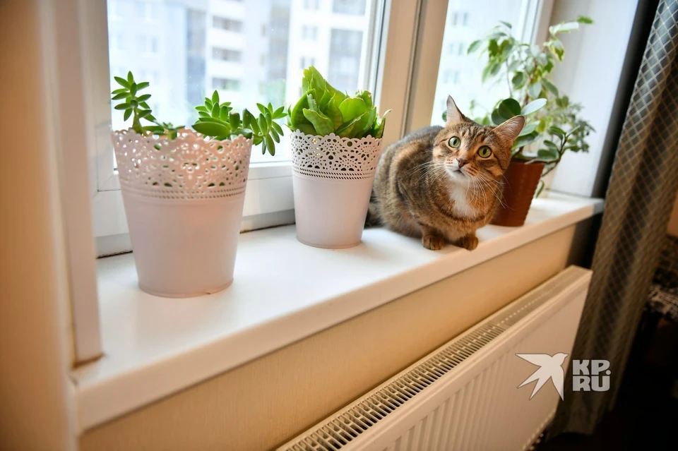 Власти Свердловской области зафиксировали ограничение предельной цены на отопление