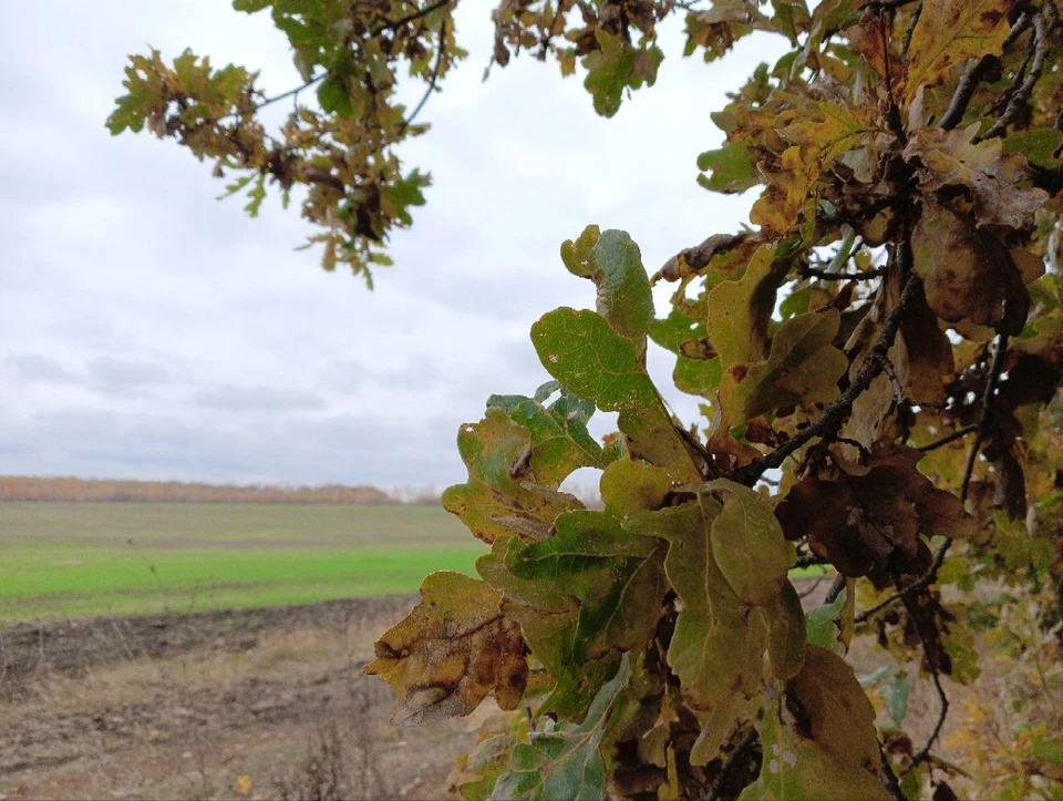 К настоящему времени предприятие исполнило предписание надзорного ведомства.