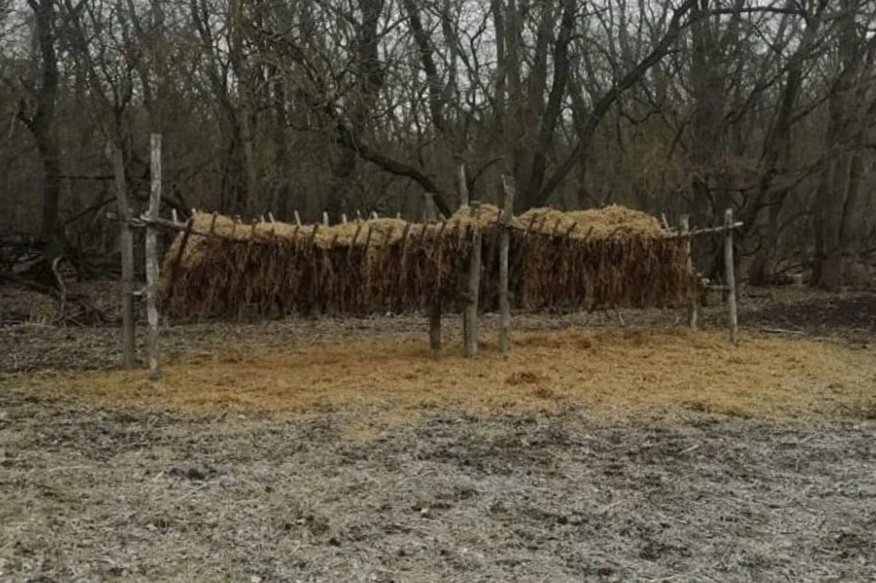 Для диких животных на Ставрополье обустраивают подкормочные площадки. Фото: минприроды Ставрополья
