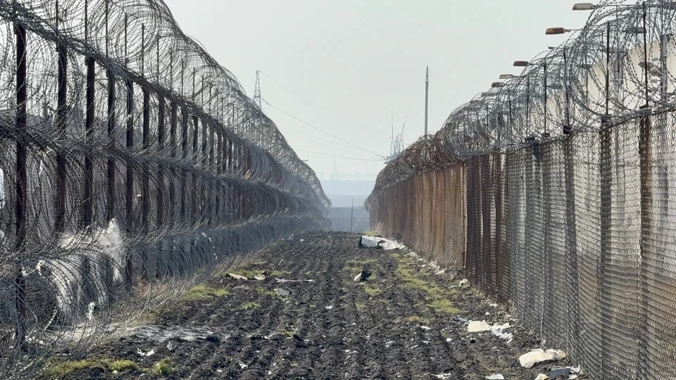 В Койгородском районе Коми бывший лесничий получил семь лет колонии за взятки
