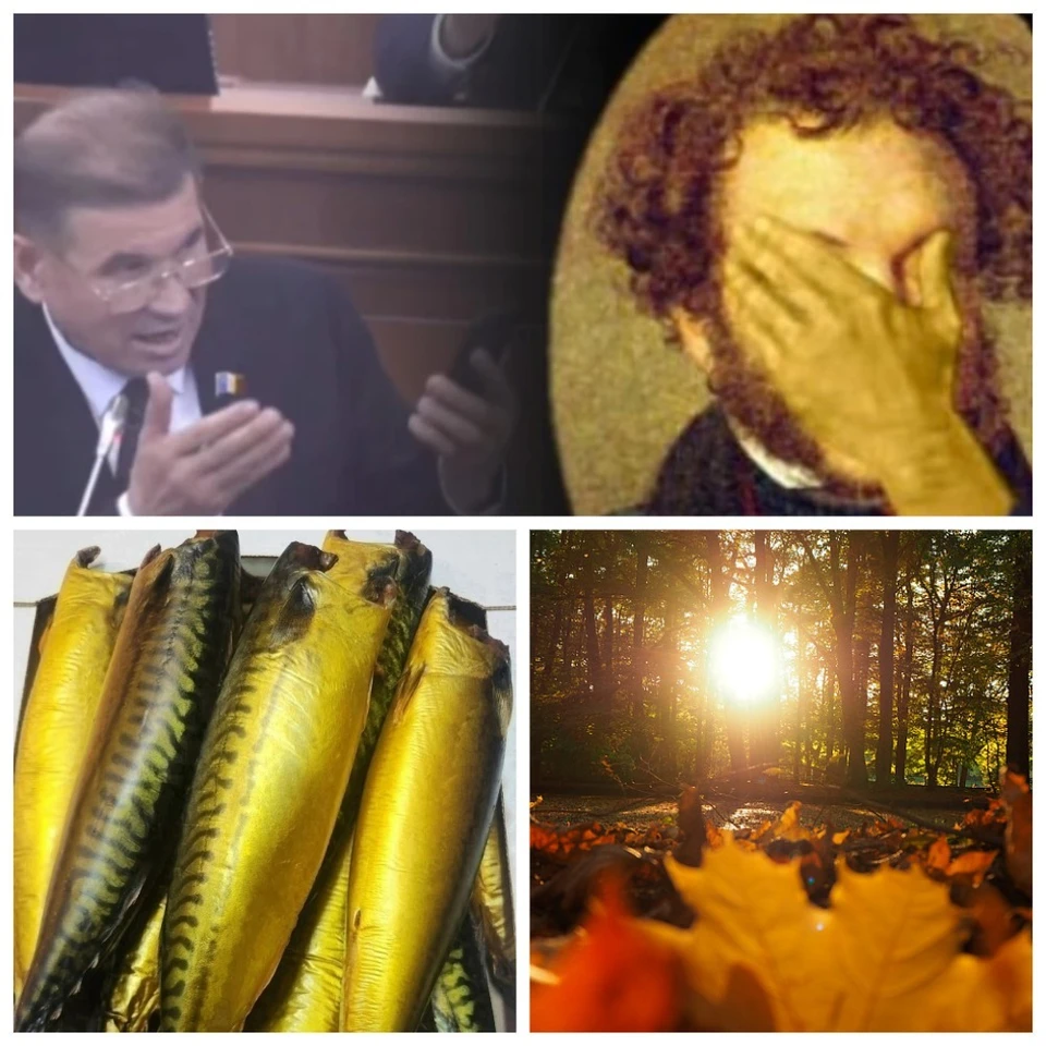 Главные новости в Молдове.