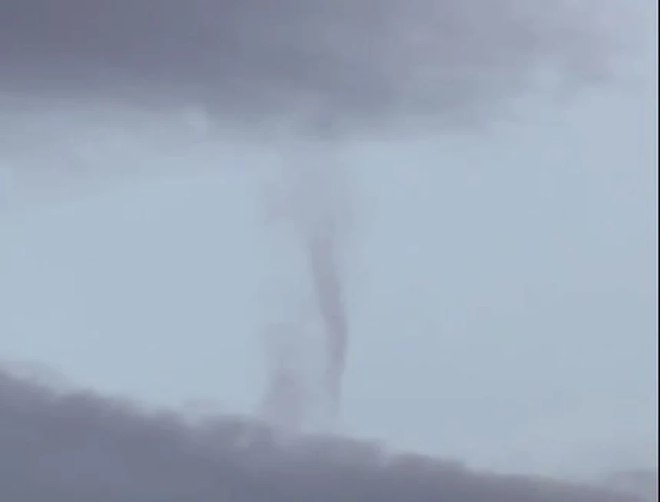 Фото: кадр из видео Максима Червякова