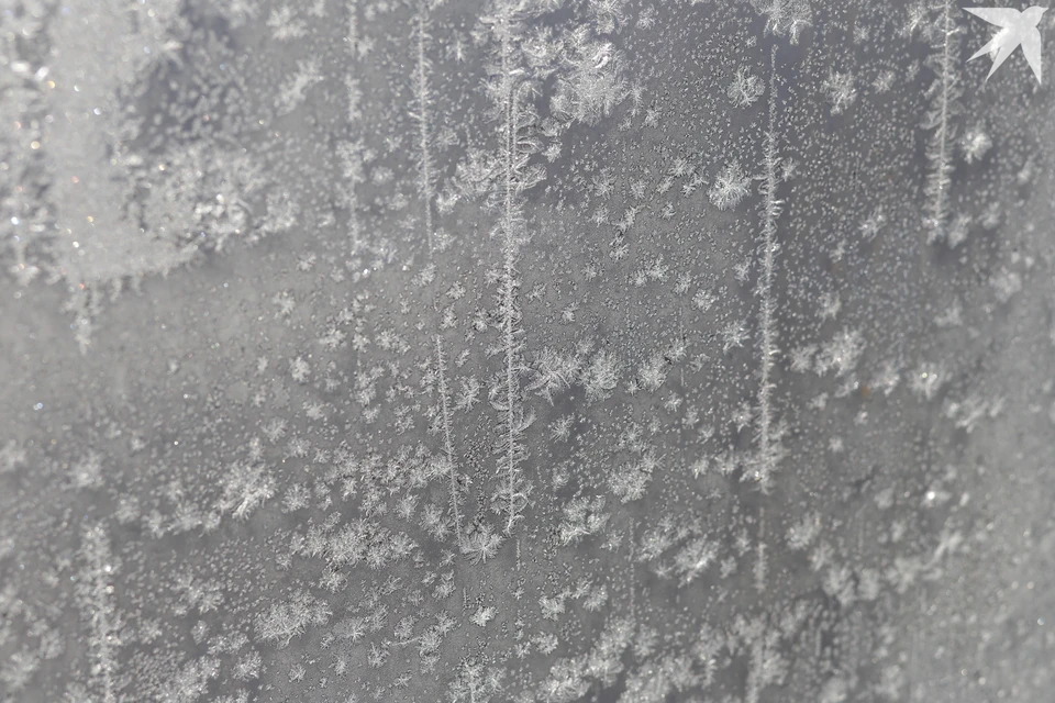 В Мурманскую область пришли морозы.