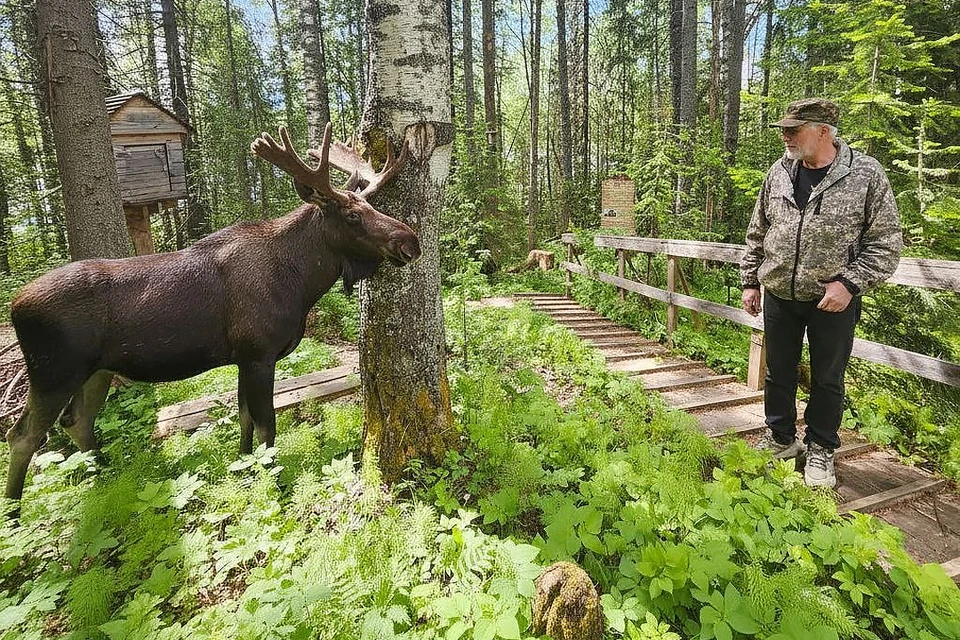 Фото: ФГБУ «Государственный природный заповедник «Вишерский»