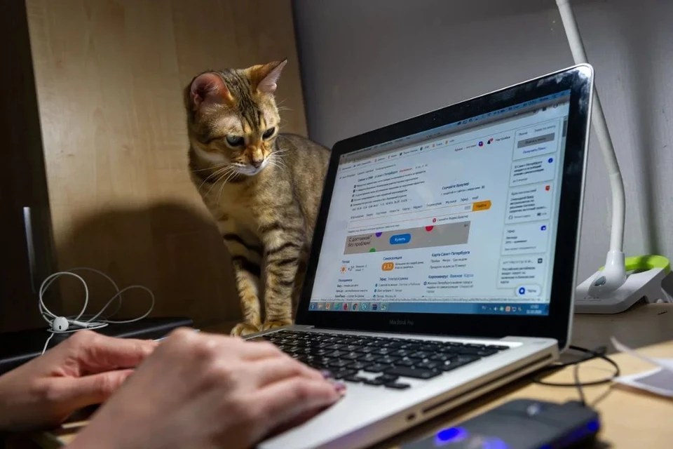 Сервис призван упростить взаимодействие петербуржцев с теплоснабжающими организациями.