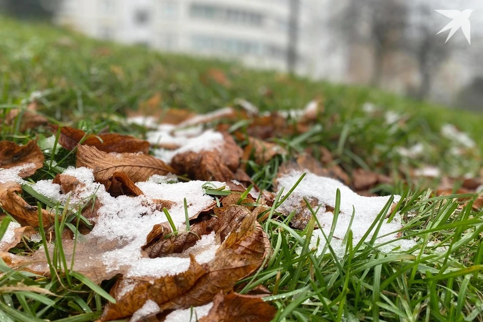 Собрали приметы и запреты на 18 ноября, когда отмечают Ионов день. Снимок носит иллюстративный характер. Фото: архив «КП»