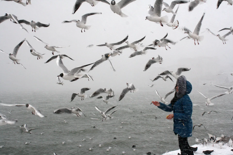 В ближайшие дни на полуострове ожидается очередное потепление