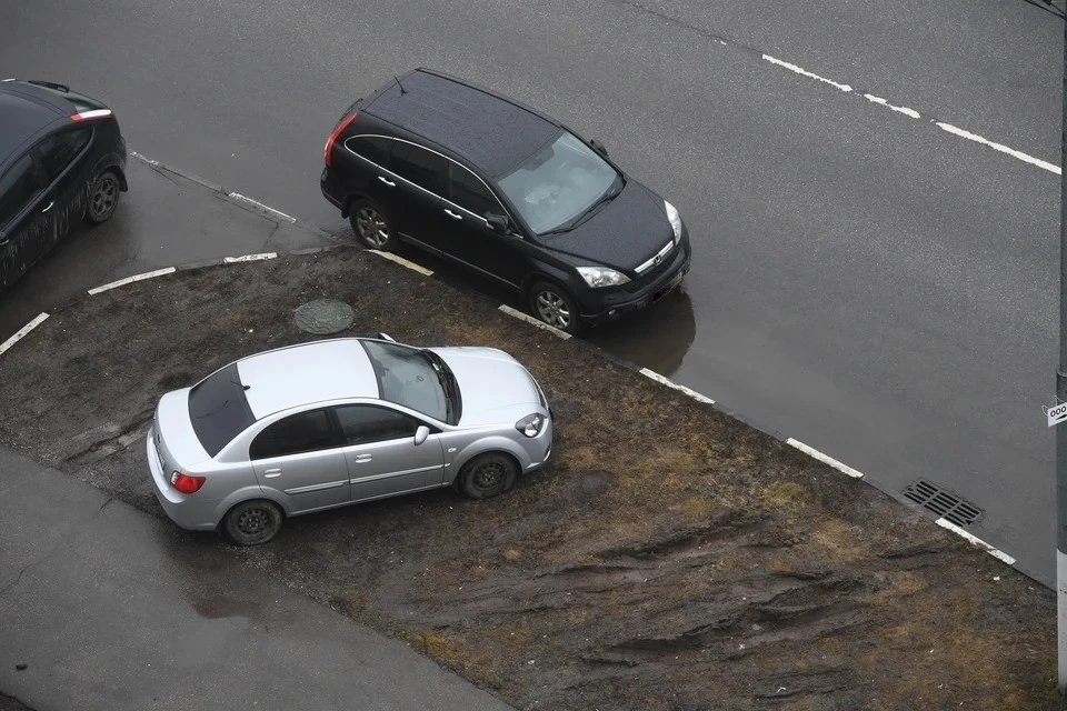 Специалисты продолжают проводить регулярные рейды и искать правонарушителей.