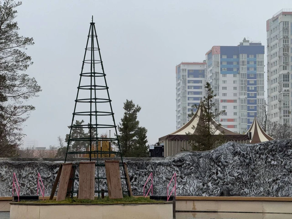 Для катка погода пока слишком теплая, но елочку на нем уже скоро соберут. Фото: ЦПКиО.