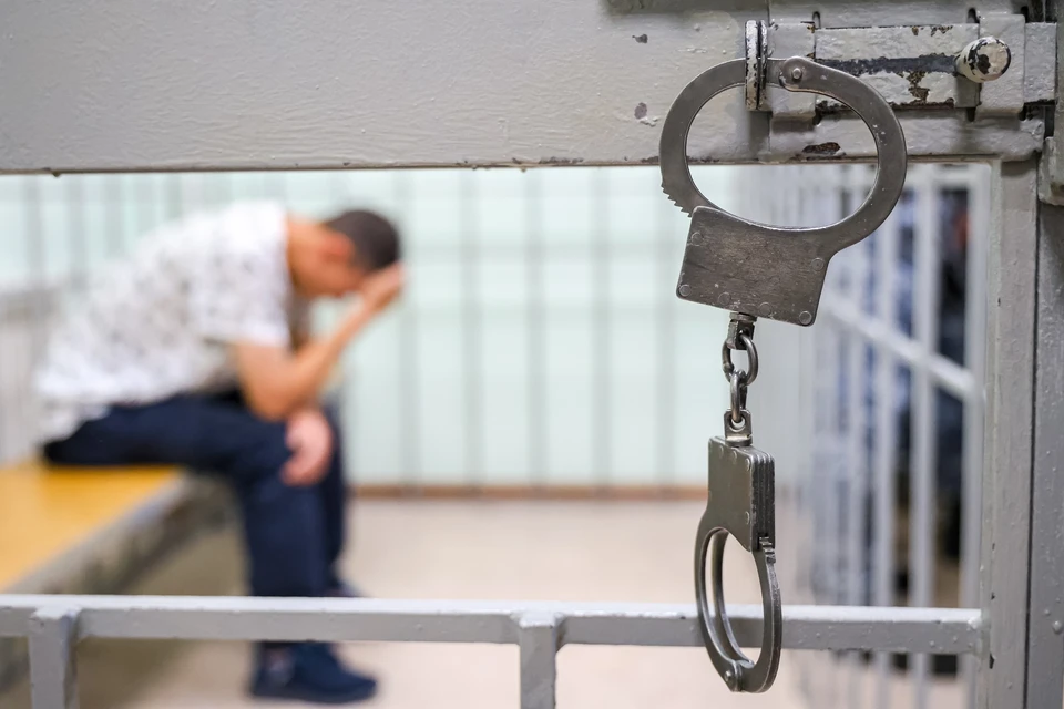 Полицейские задержали подозреваемого в организации незаконной миграции в Химках