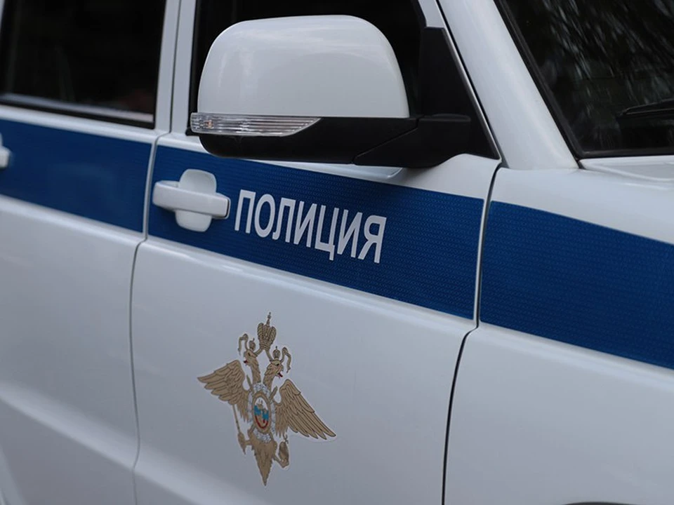 Фото: пресс-служба УМВД России по Белгородской области