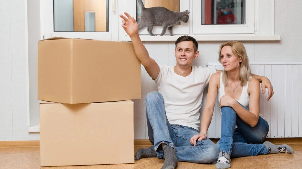 В России намерены унифицировать психиатрическую проверку при покупке квартиры